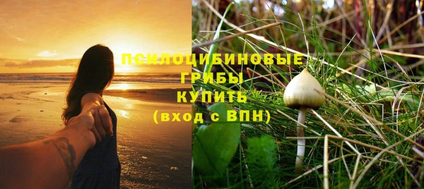 первитин Алзамай