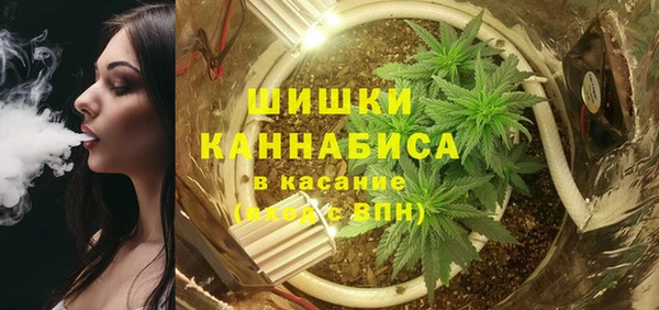 ГАЛЛЮЦИНОГЕННЫЕ ГРИБЫ Абдулино