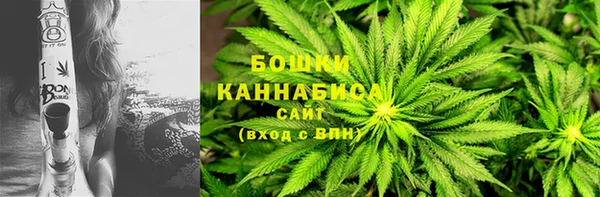 ГАЛЛЮЦИНОГЕННЫЕ ГРИБЫ Абдулино