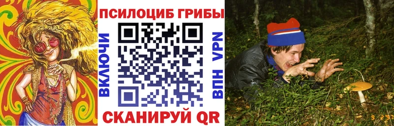 Галлюциногенные грибы ЛСД  kraken вход  Александровск 